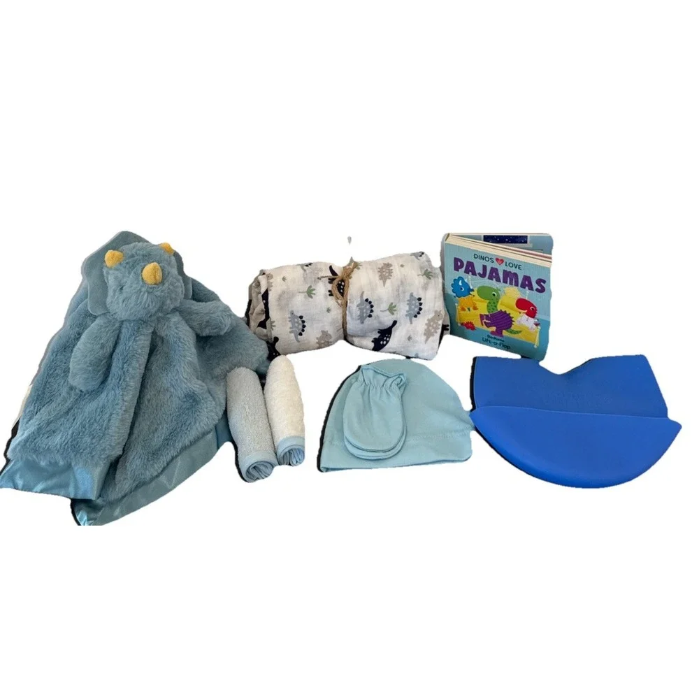 Baby Boy Shower Dinosaur Themed Gift Basket, Blanket, Plush, Books Clothes Etc.